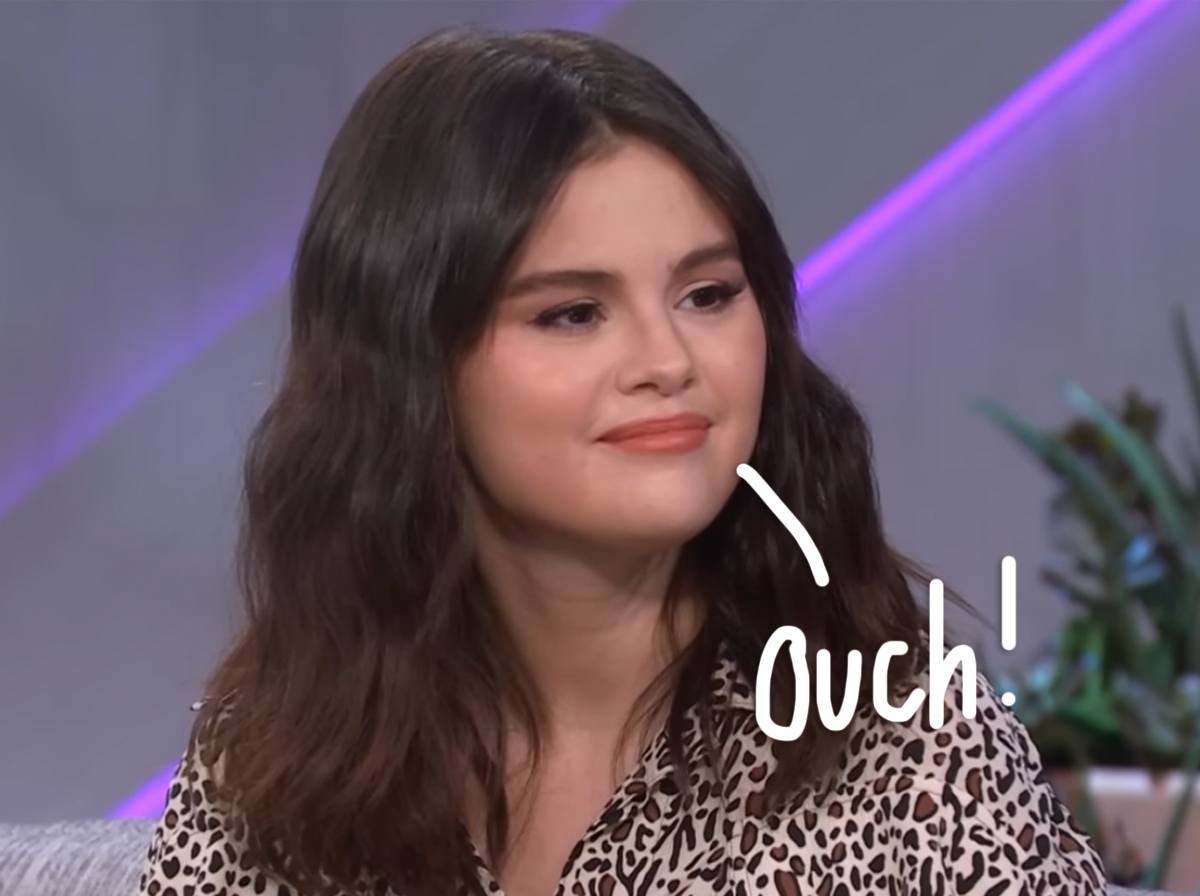 Fans of Selena Gomez Go Crazy Over Her 24-Hour Social Media "Break" Memes!